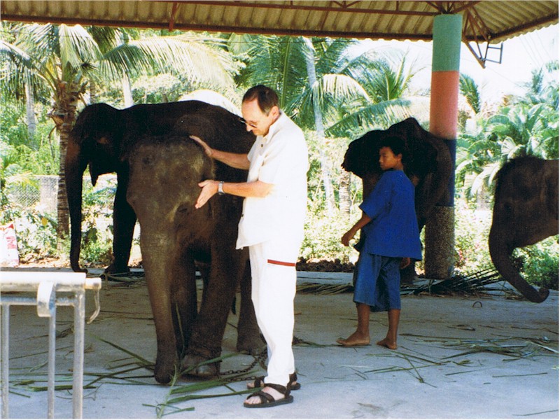 David Cook with one of three elephants he was commissioned to offer spiritual healing to in Thailand